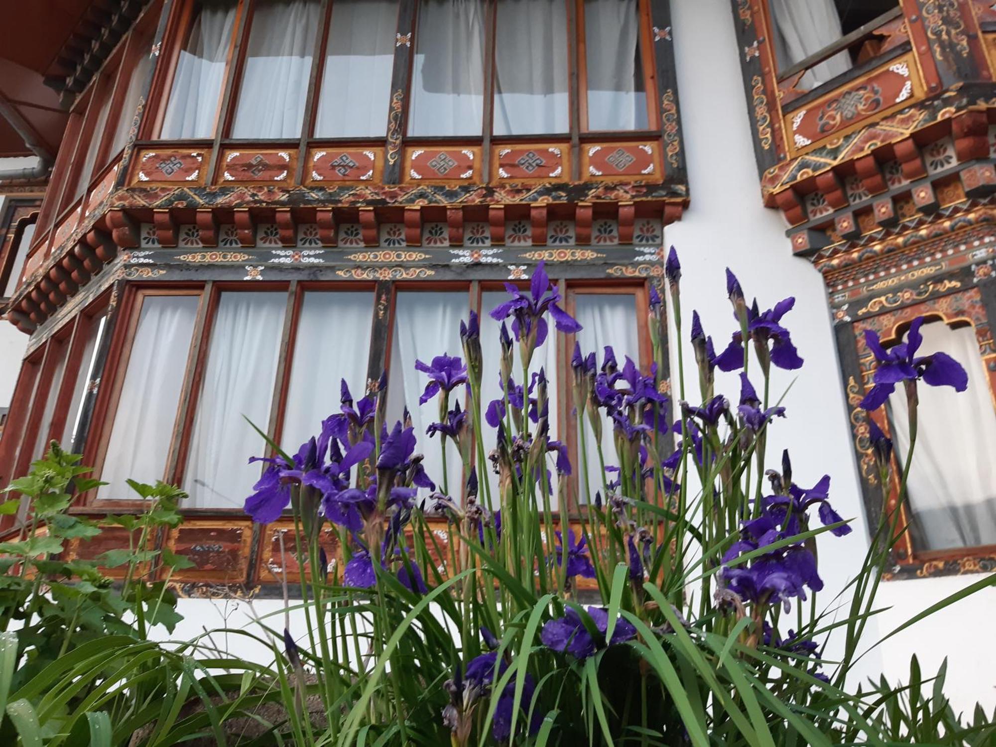 Kisa Villa Thimphu Ngoại thất bức ảnh